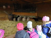 Výlet do svíčkárny Šestajovice